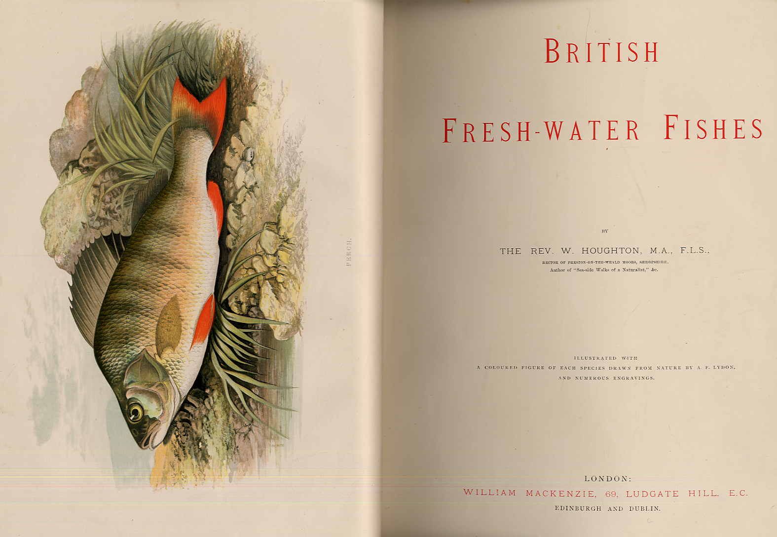 Houghton, British fresh-water fishes.