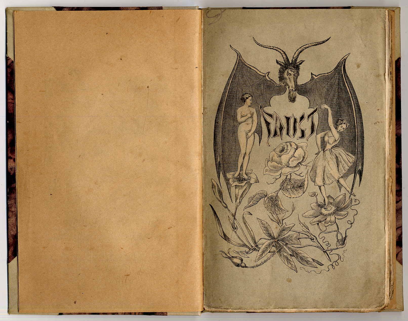 Heine, Der Doktor Faust. Ein Tanzpoem, nebst kuriosen berichten über Teufel, Hex