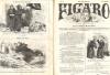 Sitter, Figaro. Humoristisches Wochenblatt. XIII. Jahrgang 1869.